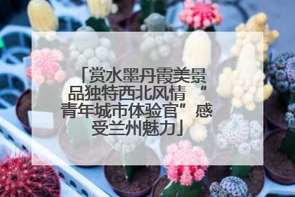 赏水墨丹霞美景 品独特西北风情 “青年城市体验官”感受兰州魅力