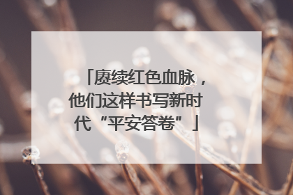 赓续红色血脉，他们这样书写新时代“平安答卷”