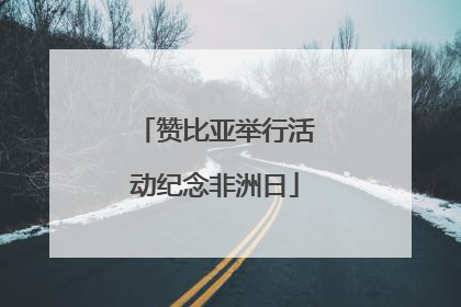 赞比亚举行活动纪念非洲日