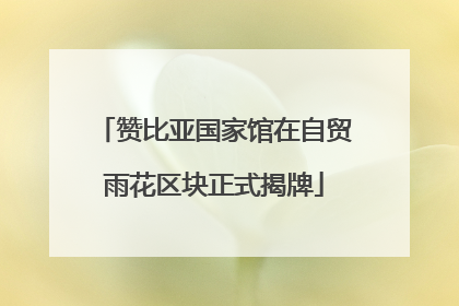赞比亚国家馆在自贸雨花区块正式揭牌