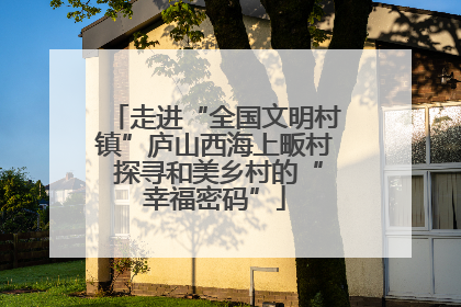 走进“全国文明村镇”庐山西海上畈村 探寻和美乡村的“幸福密码”