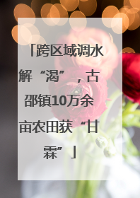 跨区域调水解“渴”，古邵镇10万余亩农田获“甘霖”
