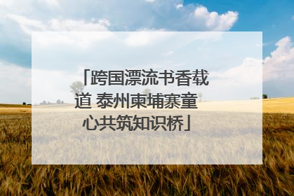 跨国漂流书香载道 泰州柬埔寨童心共筑知识桥