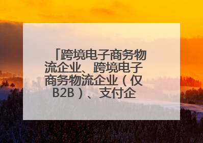 跨境电子商务物流企业、跨境电子商务物流企业（仅B2B）、支付企业备案操作指南