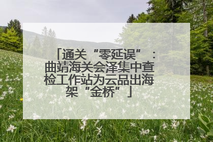 通关“零延误”：曲靖海关会泽集中查检工作站为云品出海架“金桥”