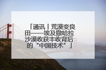 通讯丨荒漠变良田——埃及撒哈拉沙漠收获丰收背后的“中国技术”