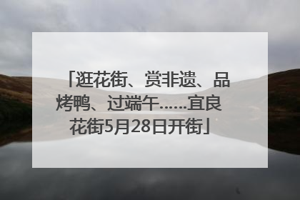 逛花街、赏非遗、品烤鸭、过端午……宜良花街5月28日开街