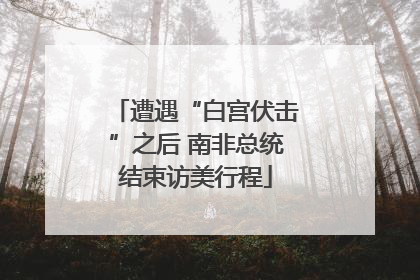 遭遇“白宫伏击”之后 南非总统结束访美行程