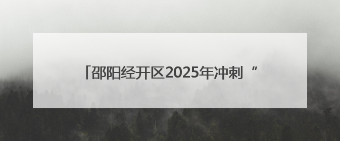 邵阳经开区2025年冲刺“双过半”经济运行调度会召开