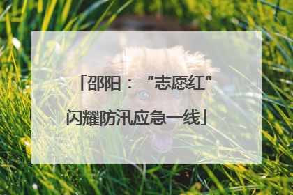 邵阳：“志愿红”闪耀防汛应急一线