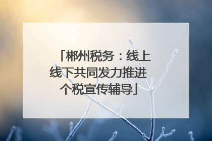 郴州税务：线上线下共同发力推进个税宣传辅导