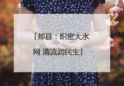 郏县：织密大水网 清流润民生