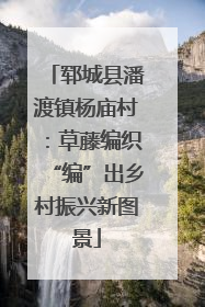 郓城县潘渡镇杨庙村：草藤编织“编”出乡村振兴新图景