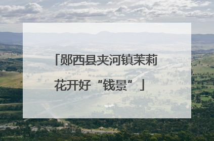 郧西县夹河镇茉莉花开好“钱景”
