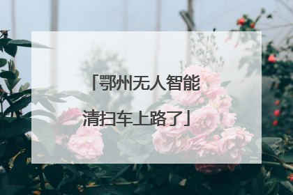 鄂州无人智能清扫车上路了