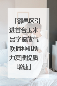 鄠邑区引进首台玉米品字摆放气吹播种机助力夏播提质增速