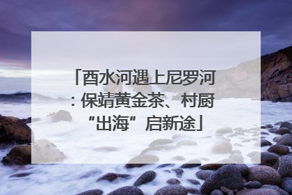 酉水河遇上尼罗河：保靖黄金茶、村厨“出海”启新途