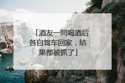 酒友一同喝酒后各自驾车回家，结果都被抓了