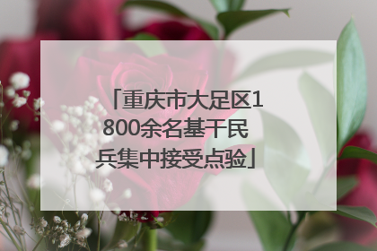 重庆市大足区1800余名基干民兵集中接受点验