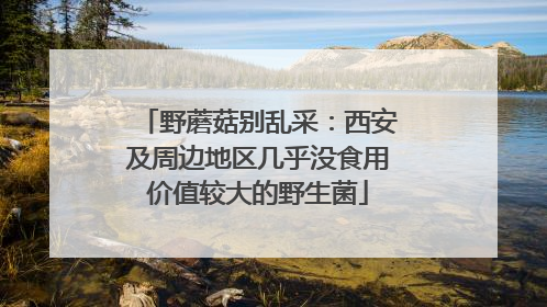 野蘑菇别乱采：西安及周边地区几乎没食用价值较大的野生菌
