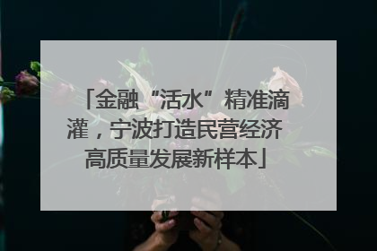 金融“活水”精准滴灌，宁波打造民营经济高质量发展新样本