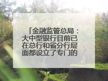 金融监管总局：大中型银行目前已在总行和省分行层面都设立了专门的科技金融部门
