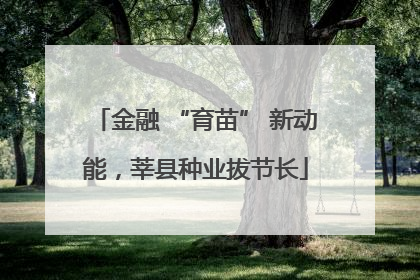 金融 “育苗” 新动能，莘县种业拔节长