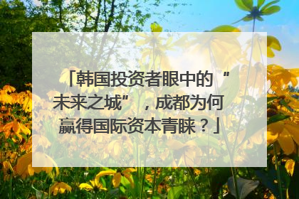 韩国投资者眼中的“未来之城”，成都为何赢得国际资本青睐？