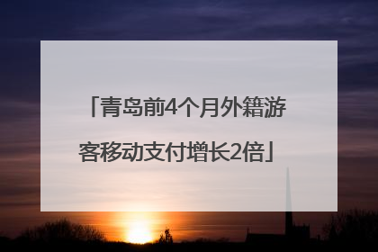 青岛前4个月外籍游客移动支付增长2倍
