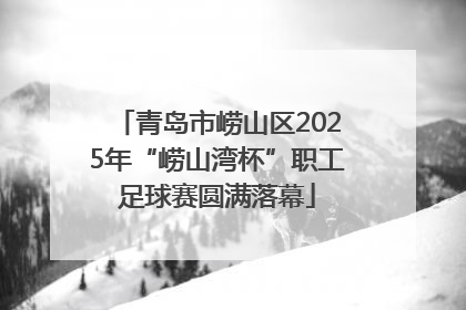 青岛市崂山区2025年“崂山湾杯”职工足球赛圆满落幕
