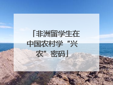 非洲留学生在中国农村学“兴农”密码