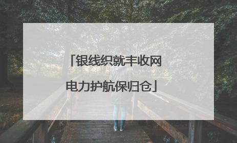 银线织就丰收网 电力护航保归仓