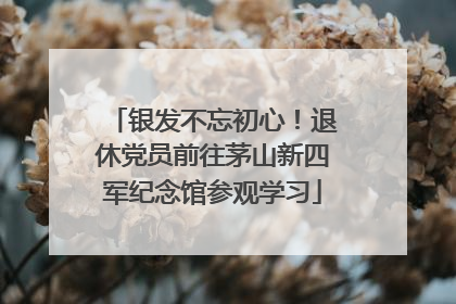 银发不忘初心！退休党员前往茅山新四军纪念馆参观学习