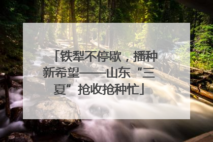 铁犁不停歇，播种新希望——山东“三夏”抢收抢种忙