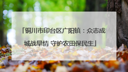 铜川市印台区广阳镇：众志成城战旱情 守护农田保民生