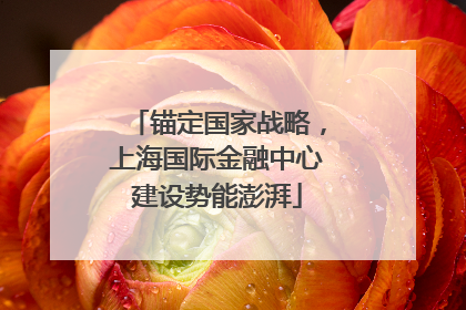 锚定国家战略，上海国际金融中心建设势能澎湃