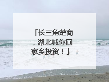 长三角楚商，湖北喊你回家乡投资！
