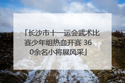 长沙市十一运会武术比赛少年组热血开赛 360余名小将展风采