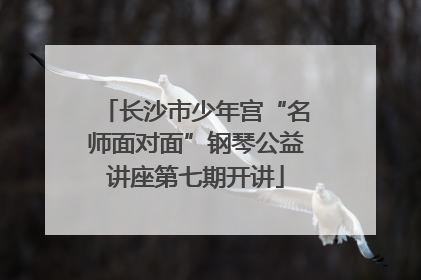 长沙市少年宫“名师面对面”钢琴公益讲座第七期开讲