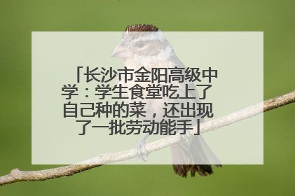 长沙市金阳高级中学：学生食堂吃上了自己种的菜，还出现了一批劳动能手