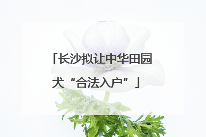 长沙拟让中华田园犬“合法入户”
