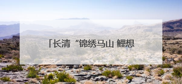长清“锦绣马山 鲤想田园”片区：四链合一，建设宜居宜业和美乡村