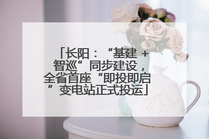 长阳：“基建 + 智巡”同步建设，全省首座“即投即启”变电站正式投运