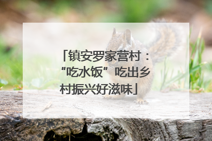 镇安罗家营村：“吃水饭”吃出乡村振兴好滋味