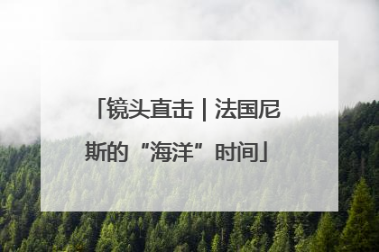 镜头直击｜法国尼斯的“海洋”时间