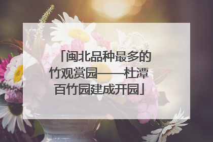 闽北品种最多的竹观赏园——杜潭百竹园建成开园