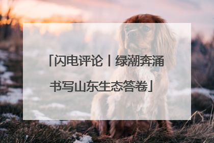 闪电评论丨绿潮奔涌 书写山东生态答卷