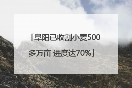 阜阳已收割小麦500多万亩 进度达70%