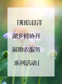 阳信县洋湖乡科协开展助农服务系列活动