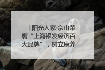 阳光人家·佘山荣膺“上海银发经济百大品牌”，树立康养行业新标杆